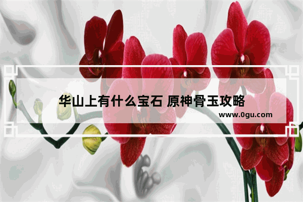 华山上有什么宝石 原神骨玉攻略