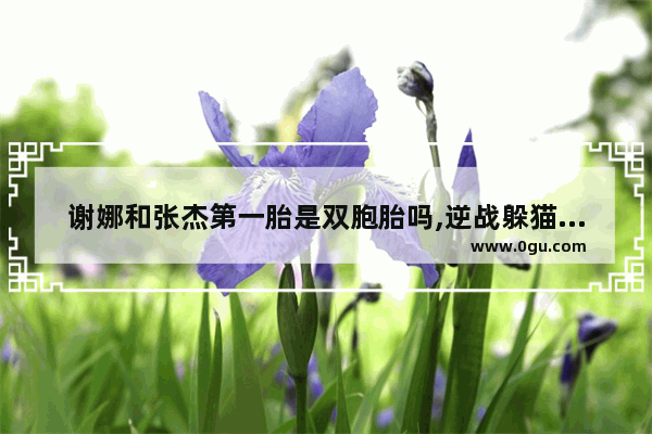 谢娜和张杰第一胎是双胞胎吗,逆战躲猫猫医院