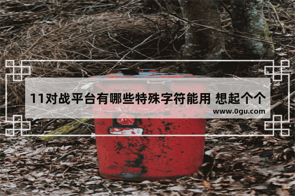 11对战平台有哪些特殊字符能用 想起个个性dota名_Dota2 Launcher cannot run from a folder path with non english characters