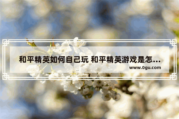 和平精英如何自己玩 和平精英游戏是怎么玩的
