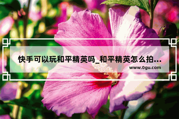 快手可以玩和平精英吗_和平精英怎么拍快手