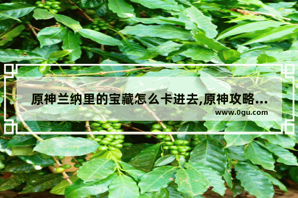 原神兰纳里的宝藏怎么卡进去,原神攻略兰纳
