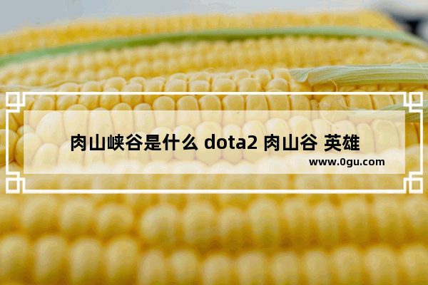 肉山峡谷是什么 dota2 肉山谷 英雄