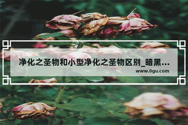 净化之圣物和小型净化之圣物区别_暗黑破坏神3大秘境可以自己刷吗