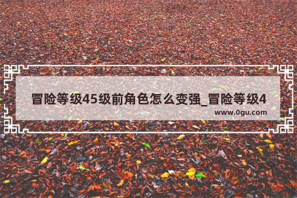 冒险等级45级前角色怎么变强_冒险等级45角色可以升到90吗