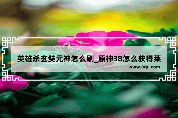 英雄杀玄奘元神怎么刷_原神38怎么获得莱伊拉
