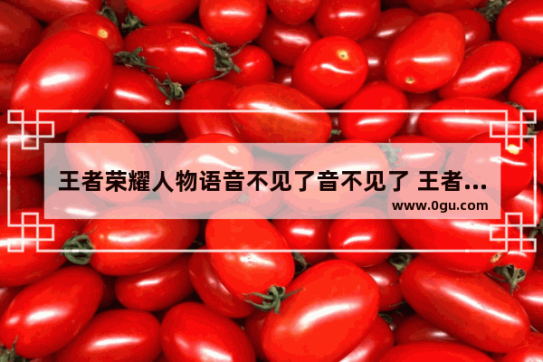 王者荣耀人物语音不见了音不见了 王者荣耀没语音