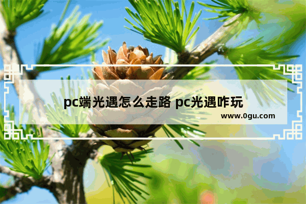 pc端光遇怎么走路 pc光遇咋玩