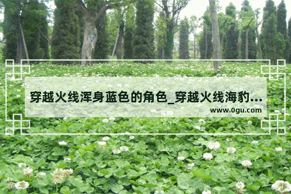 穿越火线浑身蓝色的角色_穿越火线海豹突击队现在怎么搞