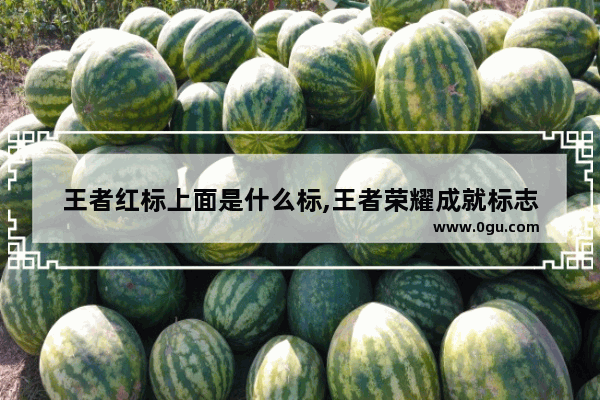 王者红标上面是什么标,王者荣耀成就标志