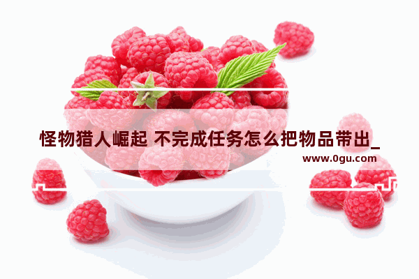 怪物猎人崛起 不完成任务怎么把物品带出_天龙八部3中记得有一个任务送衣服体力雕文的 是哪个任务啊