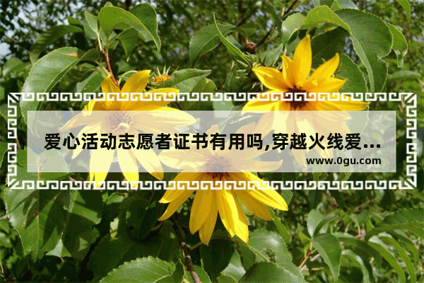 爱心活动志愿者证书有用吗,穿越火线爱心活动