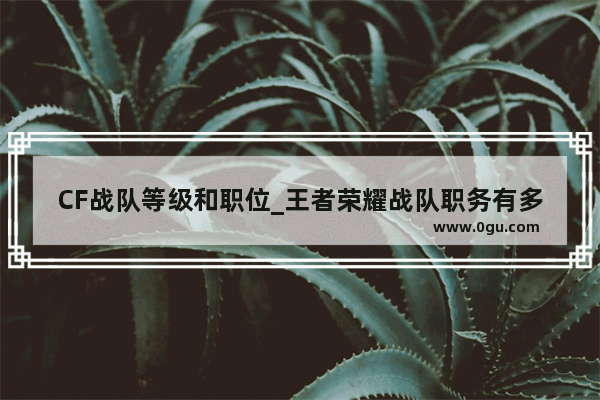 CF战队等级和职位_王者荣耀战队职务有多少个