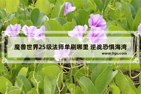 魔兽世界25级法师单刷哪里 逆战恐惧海湾单刷