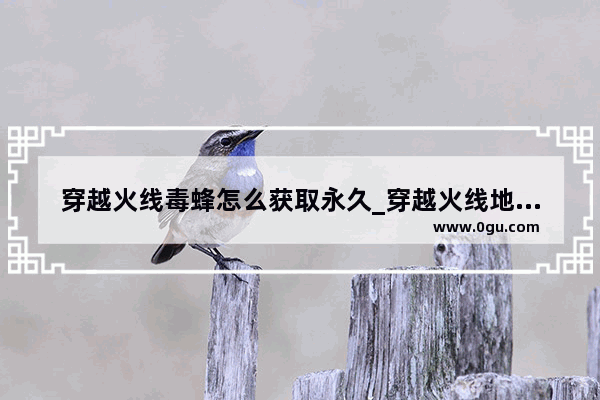 穿越火线毒蜂怎么获取永久_穿越火线地狱火怎么获得