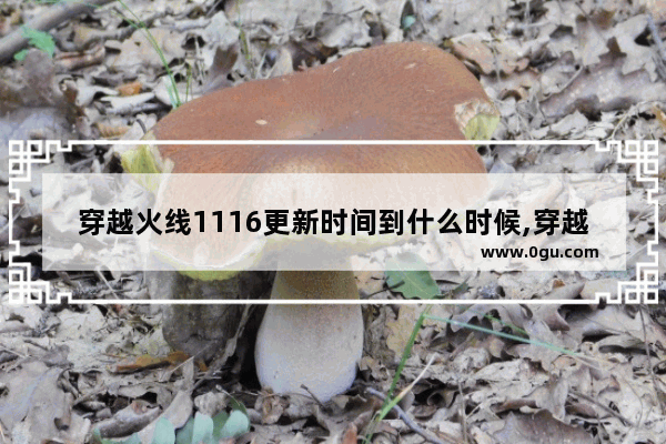 穿越火线1116更新时间到什么时候,穿越火线年中更新