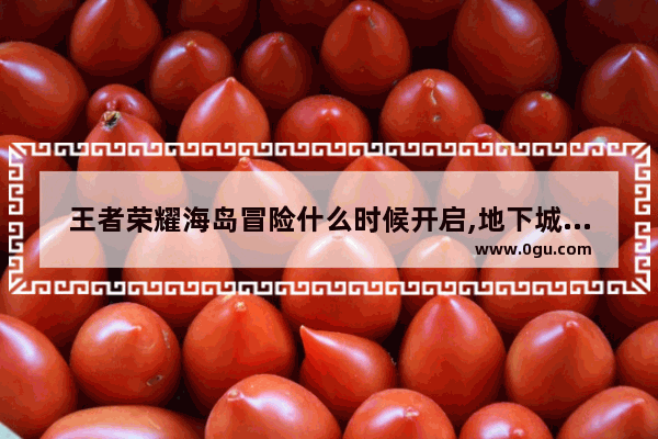王者荣耀海岛冒险什么时候开启,地下城与勇士手游海岛探险