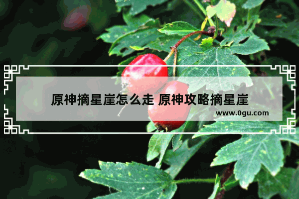 原神摘星崖怎么走 原神攻略摘星崖