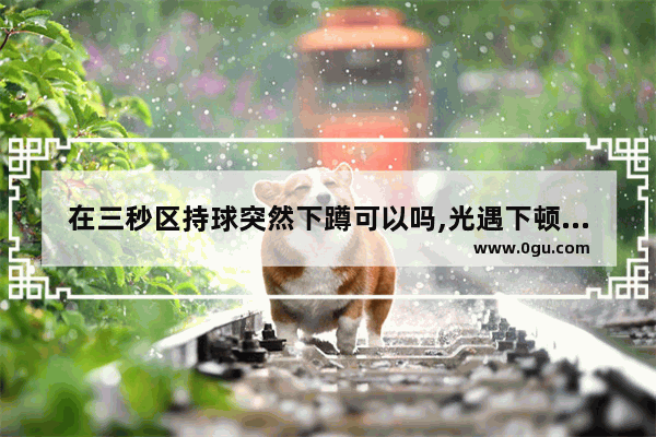 在三秒区持球突然下蹲可以吗,光遇下顿动作
