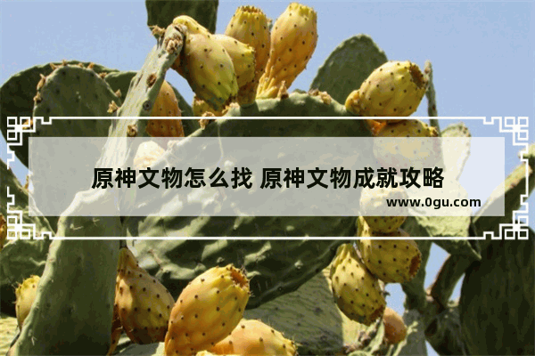 原神文物怎么找 原神文物成就攻略