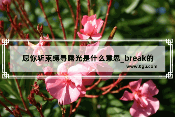愿你斩束缚寻曙光是什么意思_break的固定搭配有哪些