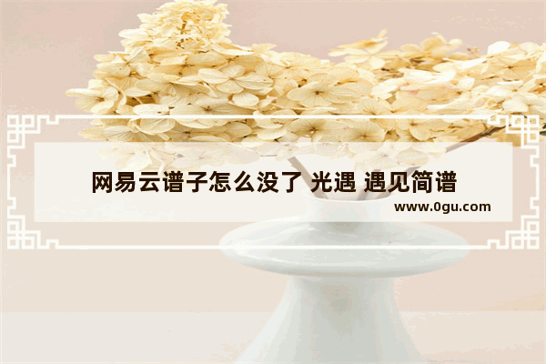 网易云谱子怎么没了 光遇 遇见简谱