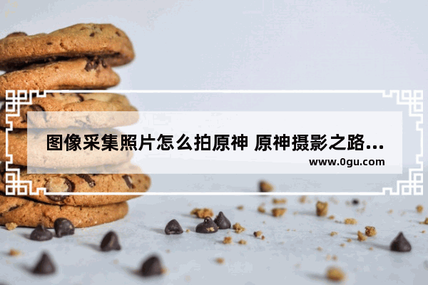 图像采集照片怎么拍原神 原神摄影之路攻略