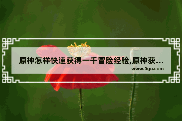 原神怎样快速获得一千冒险经验,原神获得经验攻略