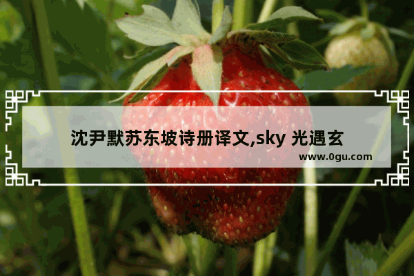 沈尹默苏东坡诗册译文,sky 光遇玄
