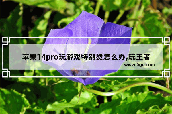苹果14pro玩游戏特别烫怎么办,玩王者荣耀手机很烫