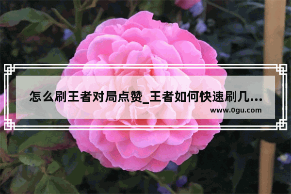 怎么刷王者对局点赞_王者如何快速刷几万赞