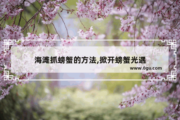海滩抓螃蟹的方法,掀开螃蟹光遇
