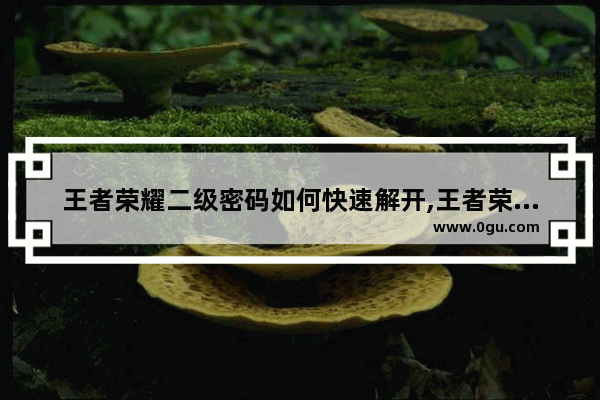 王者荣耀二级密码如何快速解开,王者荣耀二级密码规则