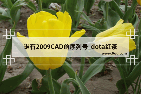 谁有2009CAD的序列号_dota红茶真名