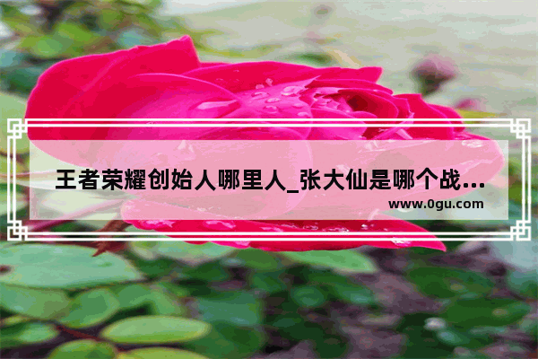 王者荣耀创始人哪里人_张大仙是哪个战队的老板