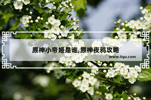 原神小帝姬是谁,原神夜鸦攻略