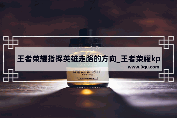 王者荣耀指挥英雄走路的方向_王者荣耀kpl队伍的指挥位是谁