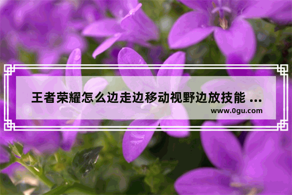 王者荣耀怎么边走边移动视野边放技能 需要几个手指操作 怎么按法_技术等级证分几个级别?具体一点
