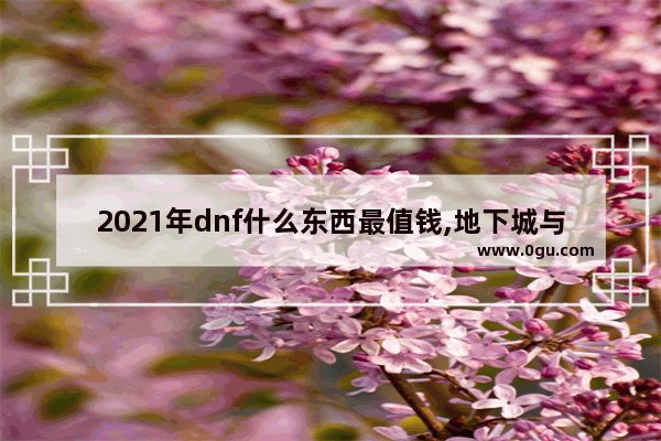 2021年dnf什么东西最值钱,地下城与勇士缝纫机测评