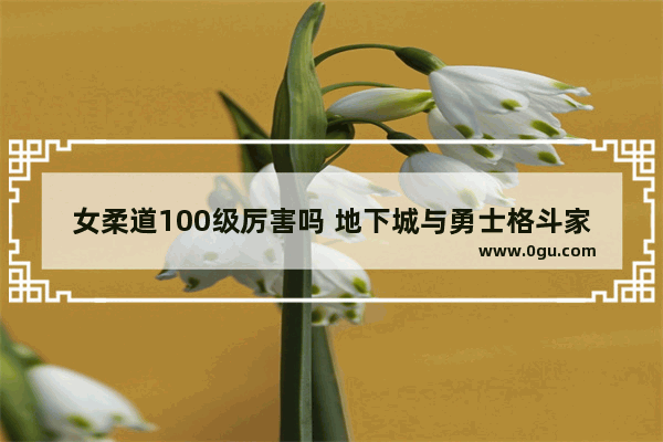 女柔道100级厉害吗 地下城与勇士格斗家女柔道