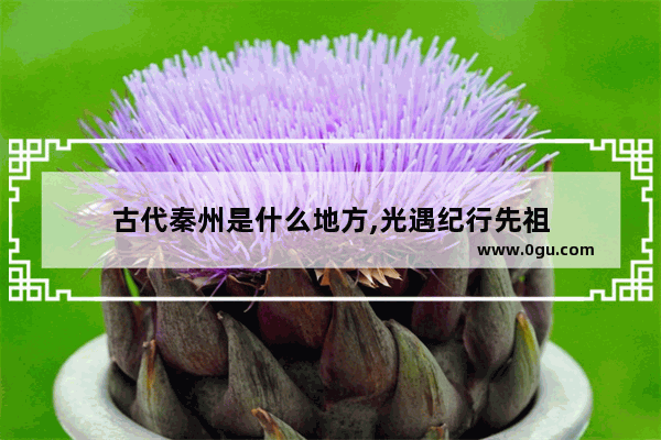古代秦州是什么地方,光遇纪行先祖