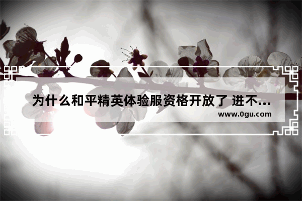 为什么和平精英体验服资格开放了 进不去还一直卡在加载页面上 和平精英体验服为什么进