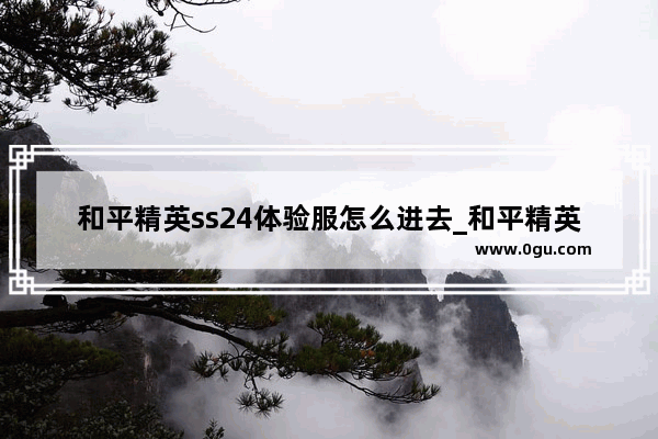 和平精英ss24体验服怎么进去_和平精英体验服目标位置显示是什么