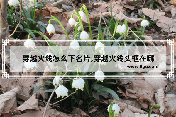 穿越火线怎么下名片,穿越火线头框在哪