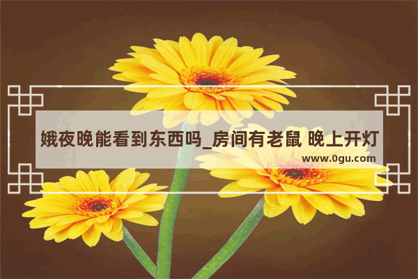 娥夜晚能看到东西吗_房间有老鼠 晚上开灯老鼠是不是就不敢出来了