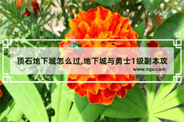 顶石地下城怎么过,地下城与勇士1级副本攻略