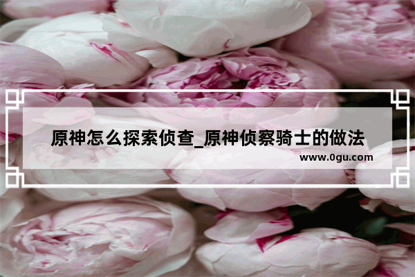 原神怎么探索侦查_原神侦察骑士的做法