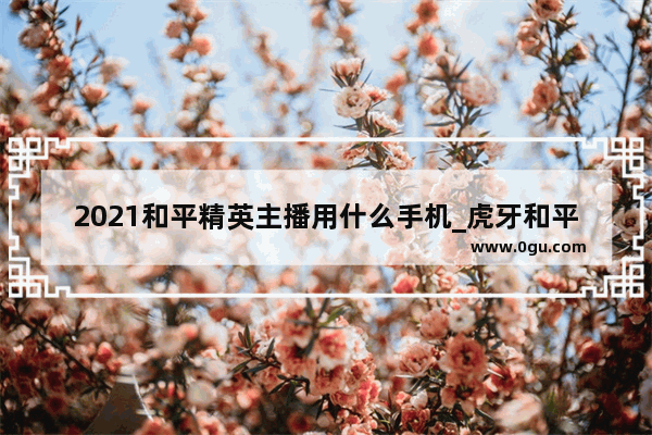 2021和平精英主播用什么手机_虎牙和平精英有哪些公会