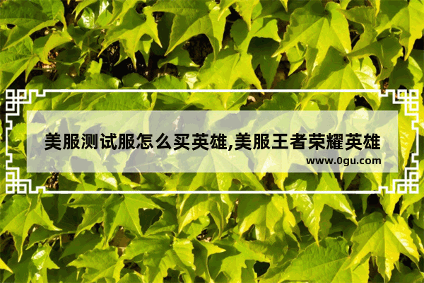 美服测试服怎么买英雄,美服王者荣耀英雄