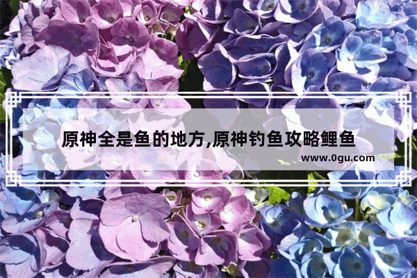 原神全是鱼的地方,原神钓鱼攻略鲤鱼